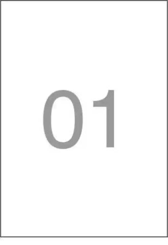 Novajet Multipurpose Label MPL-1P A4 - Pk Of 100, 1 Set