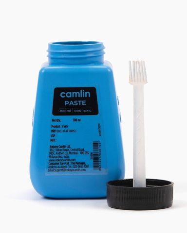 Camlin Gum Bottle 300 Ml, 1 Bottle