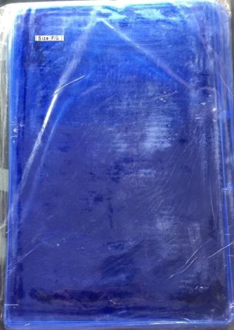 Goodmake Plastic Punch Folder FS Size, Pack Of 100, 1 Set